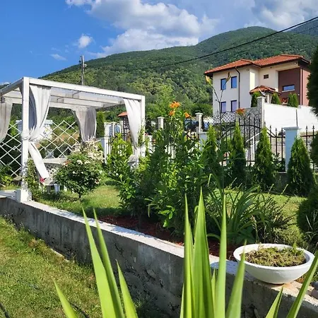 белият кът *