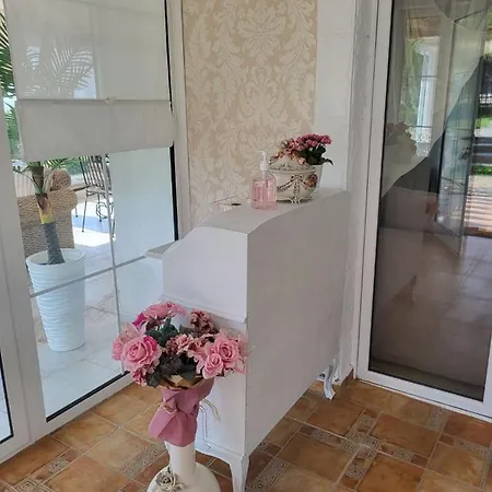 белият кът *