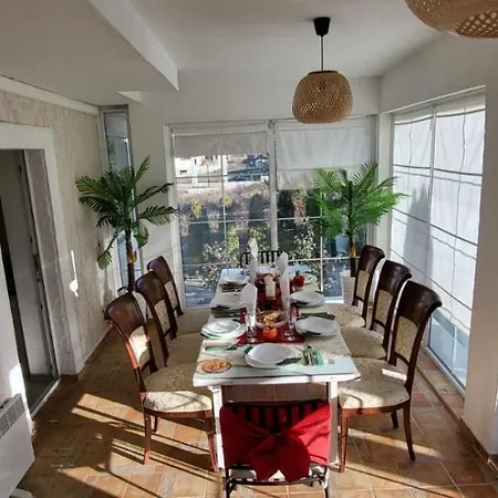 белият кът *