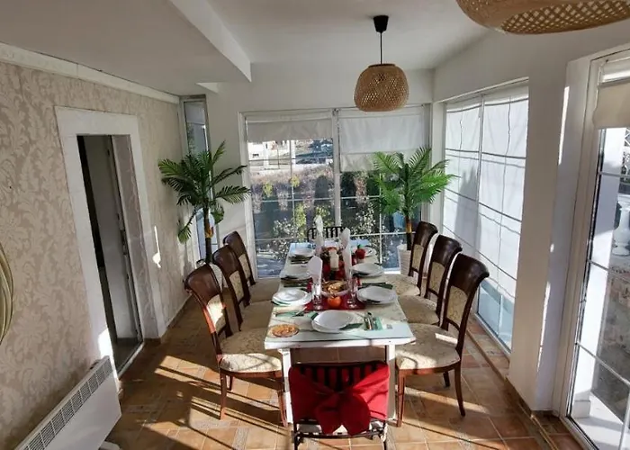 белият кът *